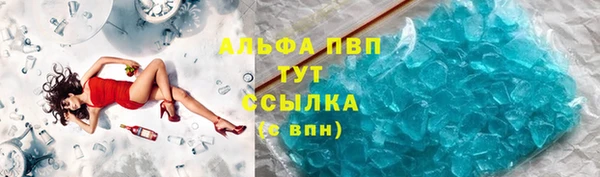 PSILOCYBIN Ветлуга