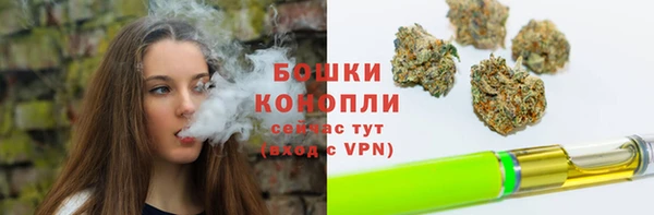 PSILOCYBIN Ветлуга