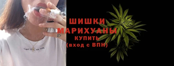 PSILOCYBIN Ветлуга