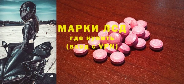 PSILOCYBIN Ветлуга
