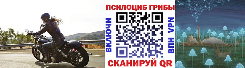 Псилоцибиновые грибы мицелий  продажа наркотиков  Ивантеевка 