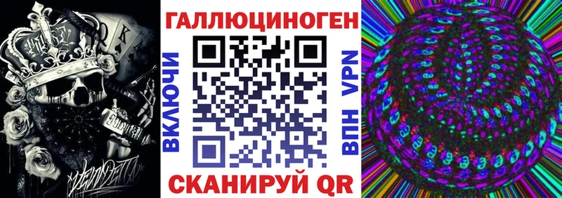 Галлюциногенные грибы Psilocybine cubensis Ивантеевка