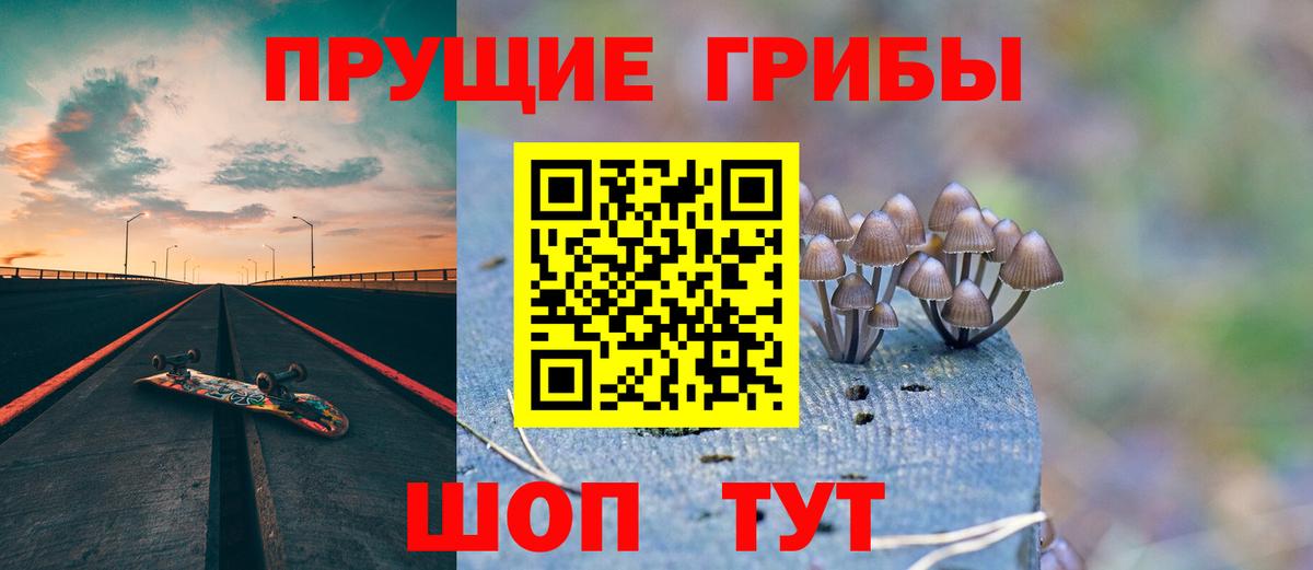 Ивантеевка  хочу наркоту  Вход с VPN  Галлюциногенные грибы GOLDEN TEACHER 